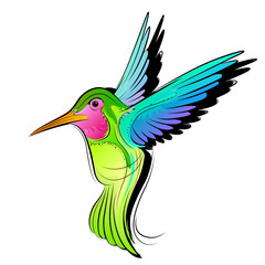 Colourful Hummingbird