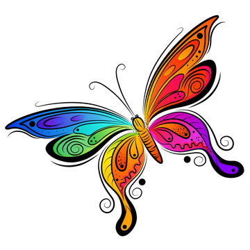 Vector Butterfly Design