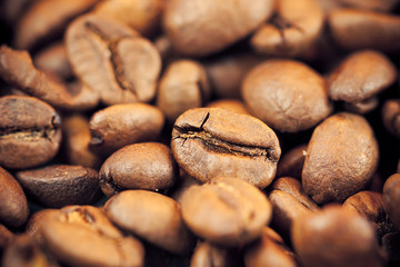 brown coffee beans as background and texture