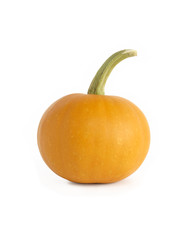 Pumpkin On White
