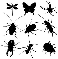 insekten design set