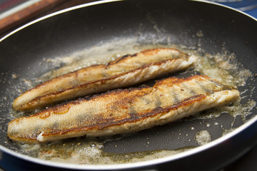 Zander in a pan