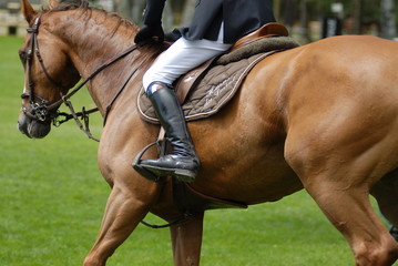 cheval 3