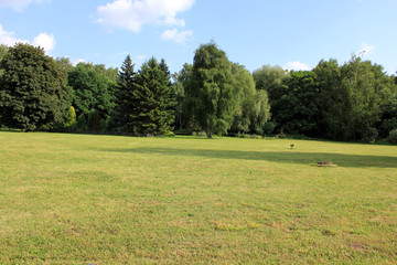 Field and forest