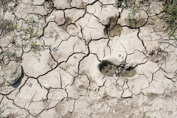 Soil crack  step foot dry Pools