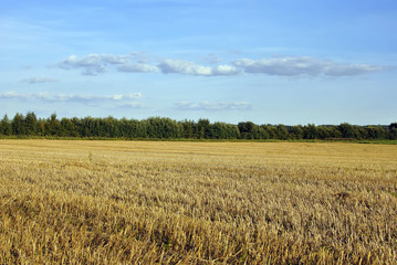 empty field in rural areas