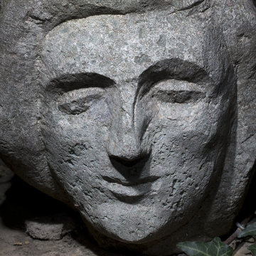 stone portraoit