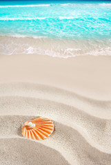 Fototapeta na wymiar Karaiby perła na powłoki białym piasku tropikalnej pla