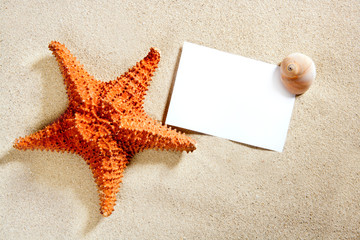 blank paper beach sand starfish shells summer
