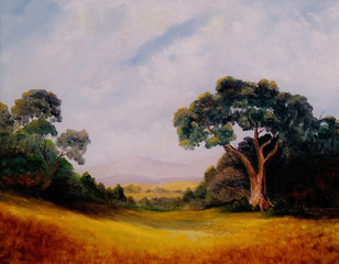 Ojai Valley