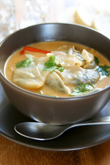 Spicy Wonton Soup
