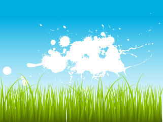 Obraz premium Green Leaf Grass On Splashy Background