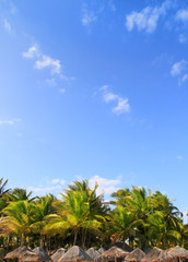 Fototapeta na wymiar Playa del Carmen tropical palapa palm trees Mexico