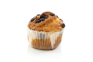 Cup Cake isolated in white background