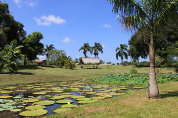 Suriname - Fort Nieuw AMSTERDAM