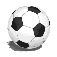 soccer-ball isolated