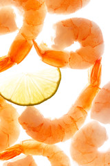 shrimps on the white
