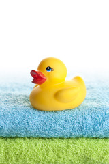 rubber duck