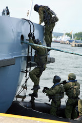Soldiers marines boarding a ship in a simulated assault.