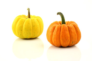 Pumpkin isolated in white background