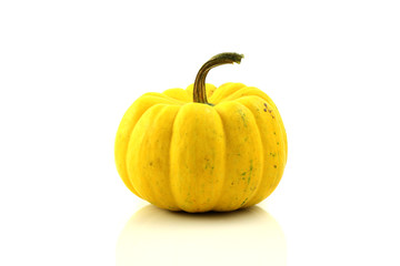 yellow pumpkin isolated in white background
