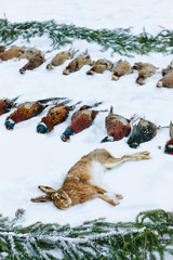 excludes of caught animals