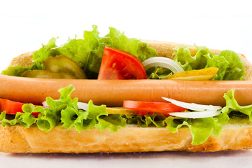 Hot dog isolated on white background