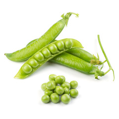Fresh green pea pod over white background