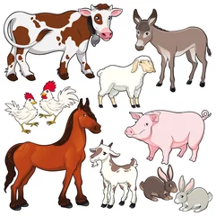 Keuken spatwand met foto Farm animals. Vector and cartoon isolated characters. © ddraw