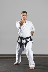 martial arts master