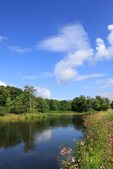 Die Renaturierung der Ruhr in Arnsberg