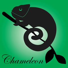 Chameleon icon