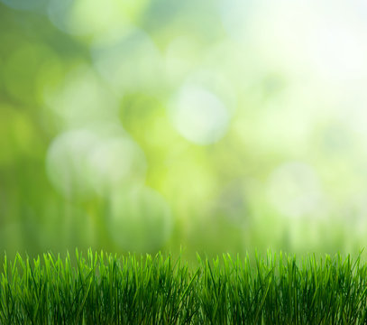 natural green background