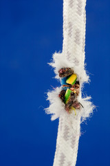 abgetrenntes Strom Kabel