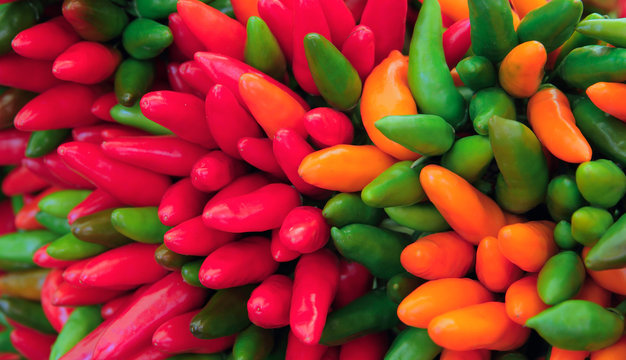chili 1