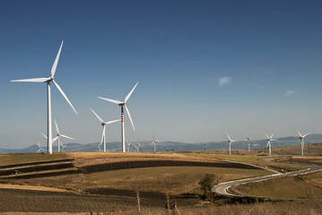 energia eolica