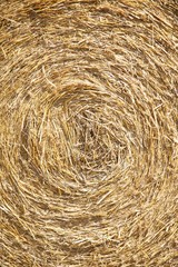 hay circle detail
