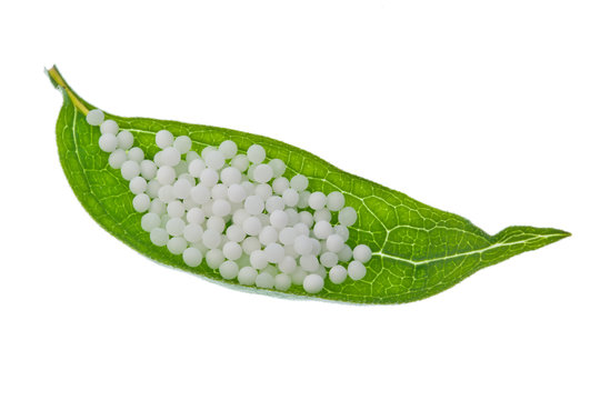 Hom&ouml;opathie. Globuli als alternative Medizin