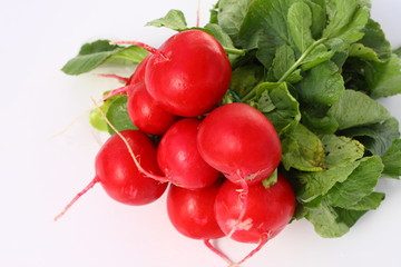 Isolated vegetables - Radish