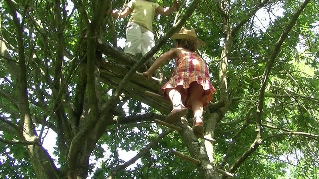 Enfant montant dans une cabane dans un arbre