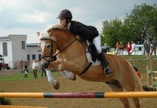 ponny show jumping