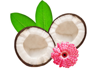 coconut isolated on white background