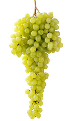 grape