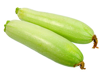 Two ripe green zucchini with dry flowers