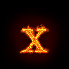 Fototapeta na wymiar fire alphabets, small letter x
