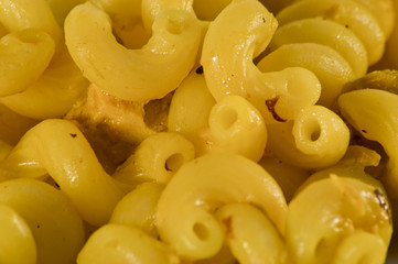 cellentani tonno e zafferano