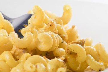 Cellentani tonno e zafferano