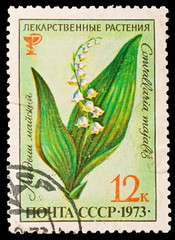 USSR - CIRCA 1973: Convallaria majalis L, series herbs