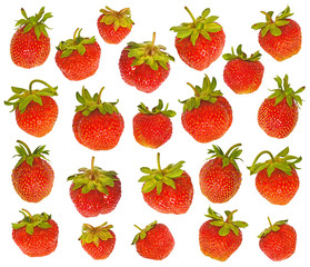 Strawberry collection on the white