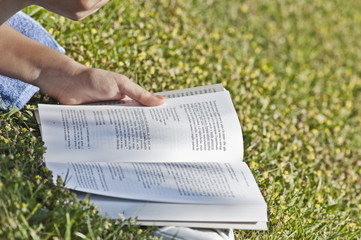Ragazza legge un libro su un prato